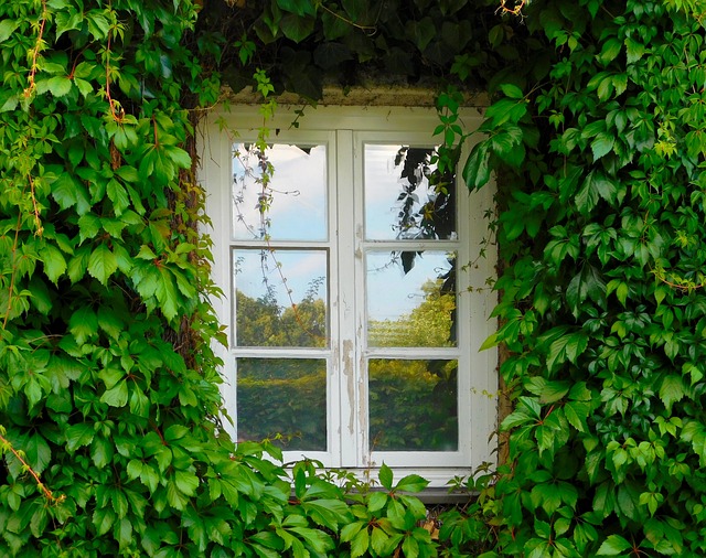 A Tale of Two Homes: Comparing Window Installation Prices